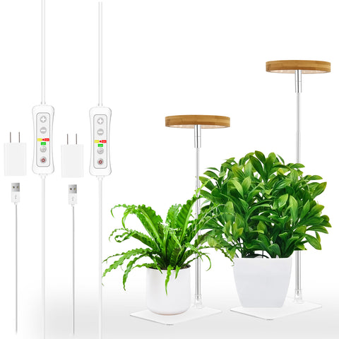 Bamboo Plant Light Strip with Acrylic Base,2pcs