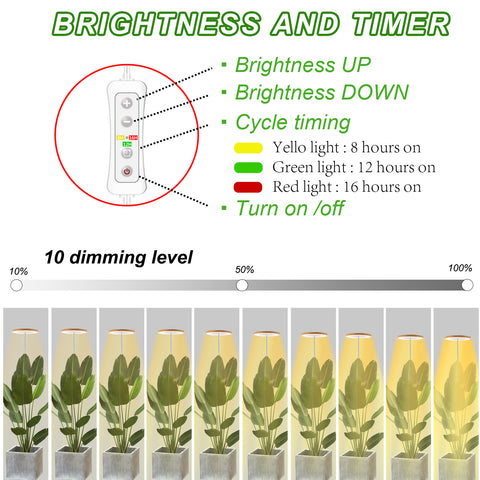 Bamboo Plant Grow Light Plus Version