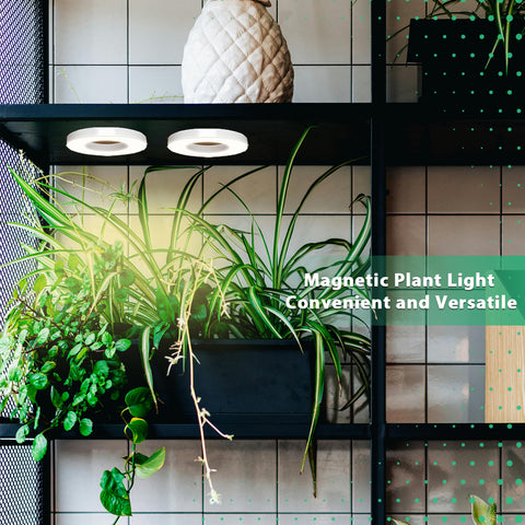 Ceiling Grow Light for Indoor Plants.2 light