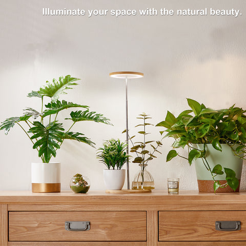 Bamboo Plant Grow Light，Desk