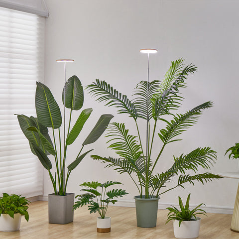Bamboo Plant Grow Light Plus Version