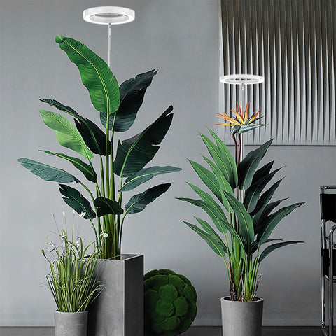 Basic White Plant Grow Light Plus Version - Yadoker