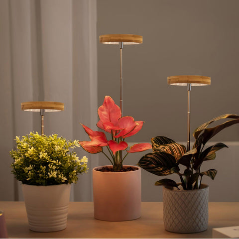 Bamboo Shell Grow Light， 1pc - Yadoker