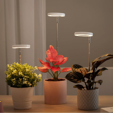 Basic White Plant Grow Light， 6pcs - Yadoker