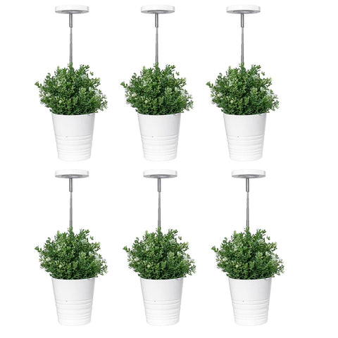Basic White Plant Grow Light， 6pcs - Yadoker