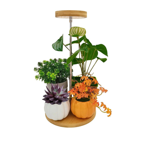 Bamboo Shell Grow Light With Bottom，1pc - Yadoker