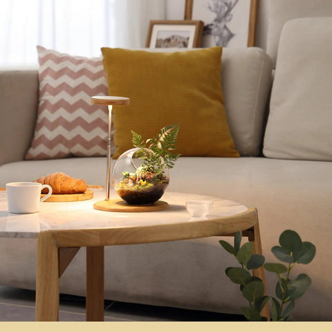 Bamboo Shell Grow Light With Bottom，1pc - Yadoker
