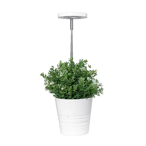 Basic White Plant Grow Light - Yadoker