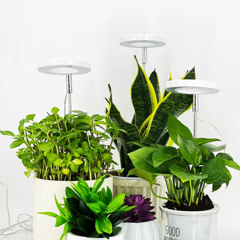 Basic White Plant Grow Light - Yadoker