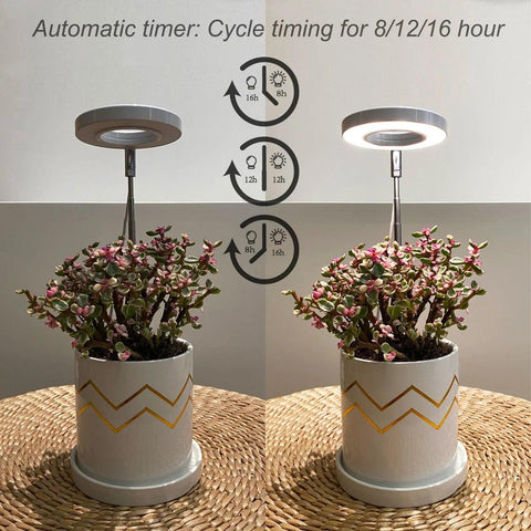 Basic White Plant Grow Light， 2pcs - Yadoker